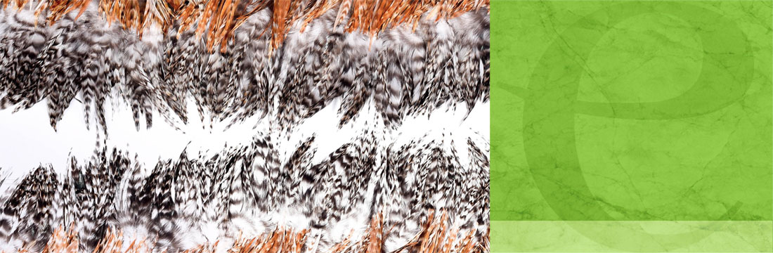Plumes-Franges Plumes-Franges